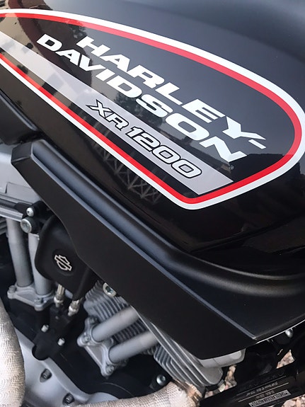 Harley-Davidson XR1200 4 of 4