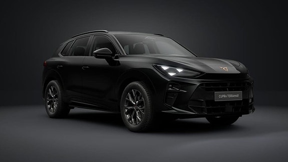 Cupra Terramar 19 of 23