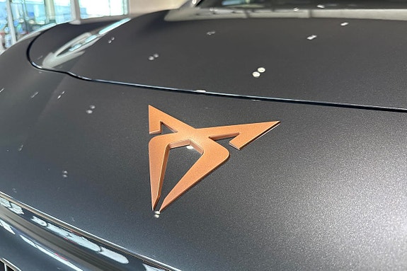 Cupra Terramar 16 of 23