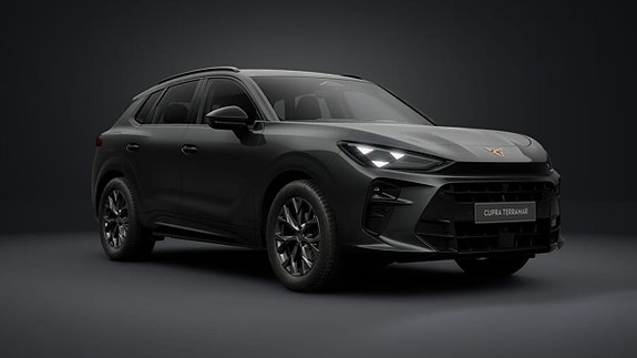 Cupra Terramar 20 of 23