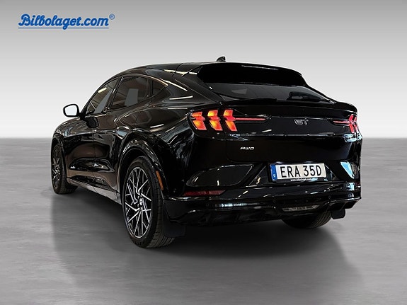 Ford Mustang Mach-E 7 of 19