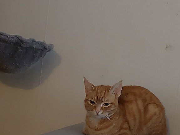 Product image 15 of 17
