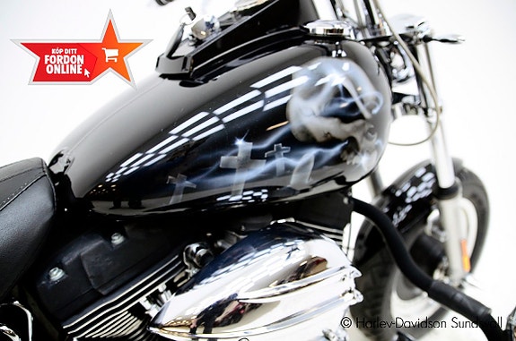 Harley-Davidson Nighttrain *Hemleverans* 8 of 11