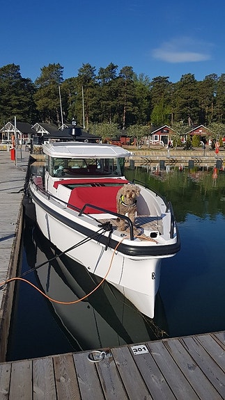 Axopar 37 XC 2020 Finland 4 of 5