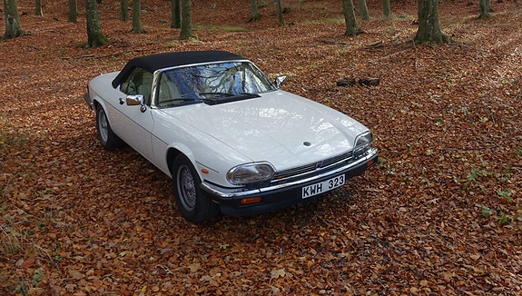Jaguar XJS 3 of 5