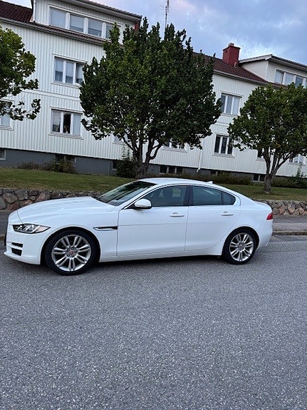 Jaguar 2016