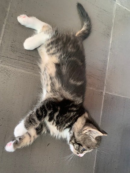 Product image 4 of 10