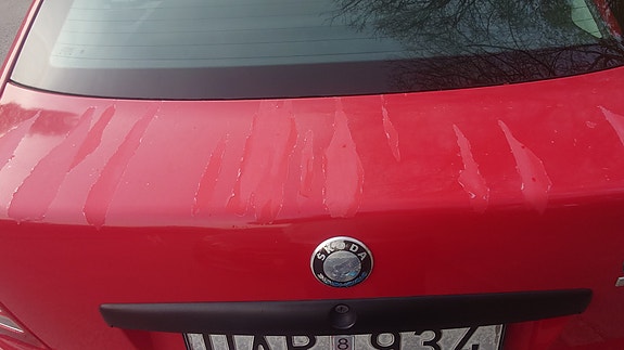 Skoda Octavia 5 of 5