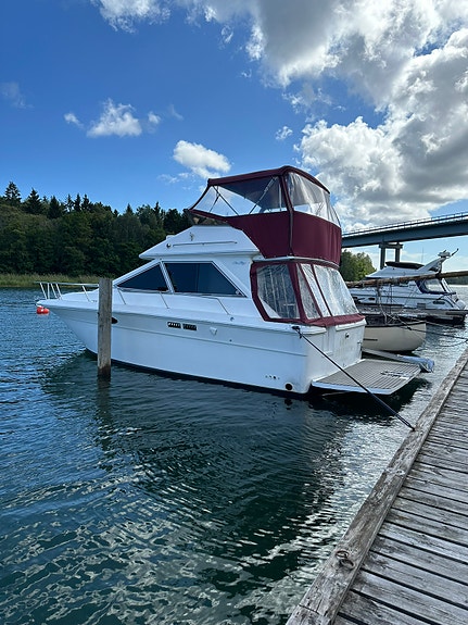 searay 300 SDB 5 of 5