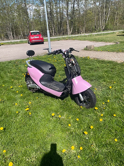 Sakura 2 of 4