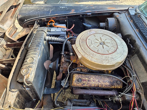 Edsel Pacer 5 of 7