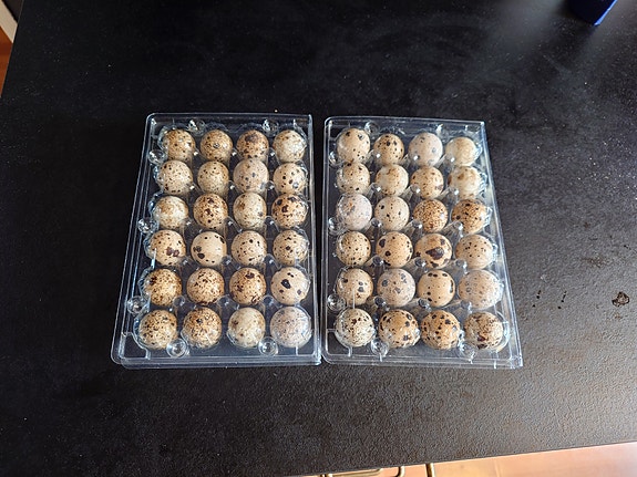 Product image 11 of 11