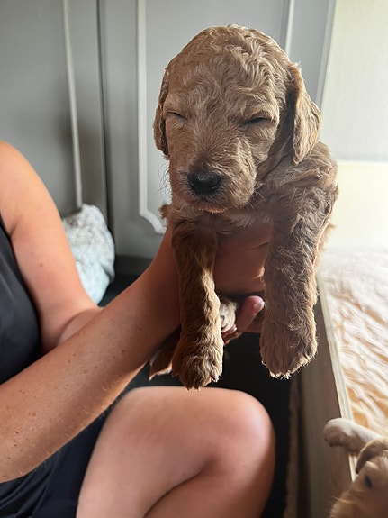 Product image 15 of 17