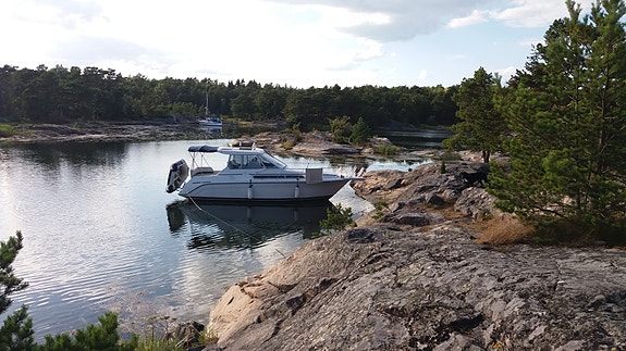 Höstpris Carver 280HT med ny motor säljes eller bytes 9 of 10