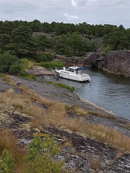 Höstpris Carver 280HT med ny motor säljes eller bytes 7 of 10