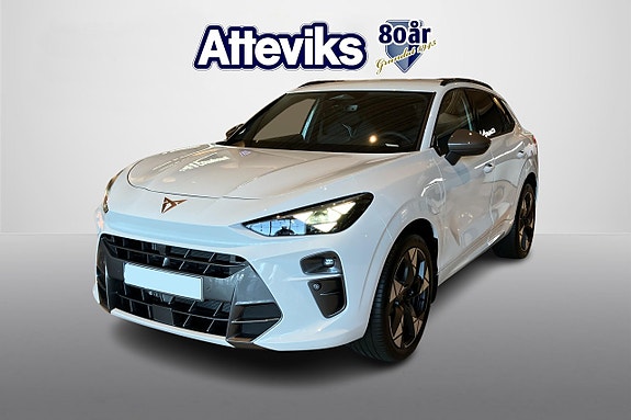 Cupra Terramar 6 of 15
