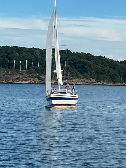 LM 22  från 1978 2 of 12
