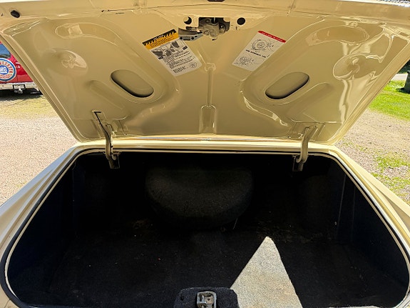 Cadillac Coupé DeVille 25 of 25