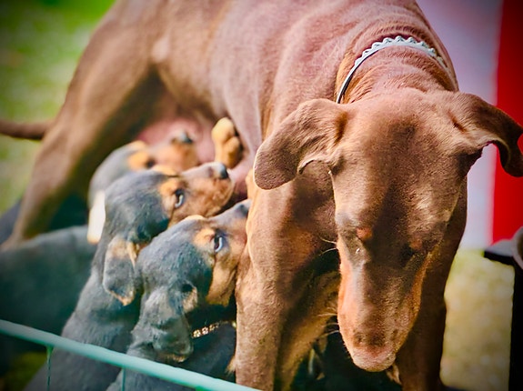 Product image 19 of 26