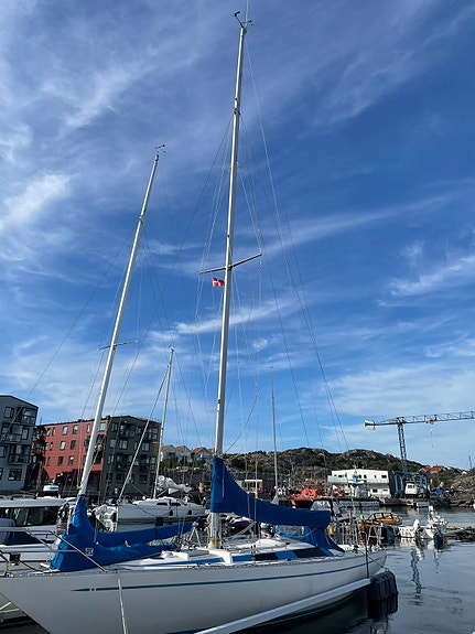 Helmsman Lady — Vedi foto 1