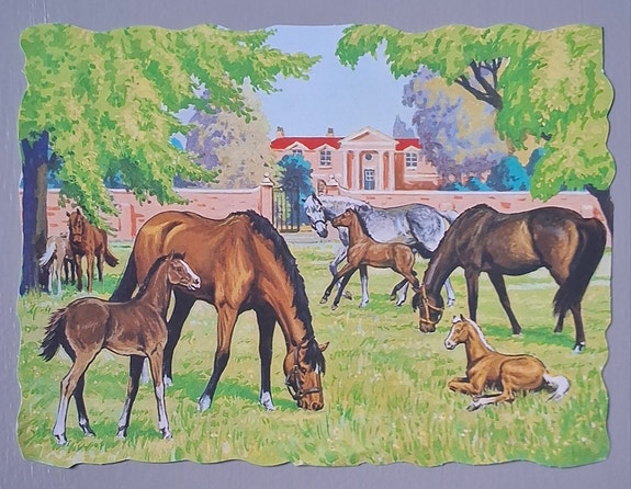 Product image 11 of 13