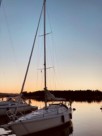 Scampi — Vedi foto 1