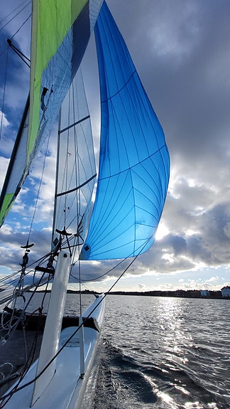 Hobie Cat Tiger som behöver lite kärlek 2 of 4