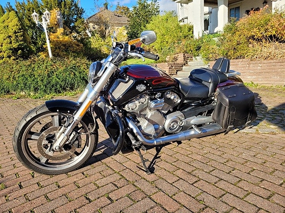 Harley-Davidson Vrscf V-Rod Muscle 1247