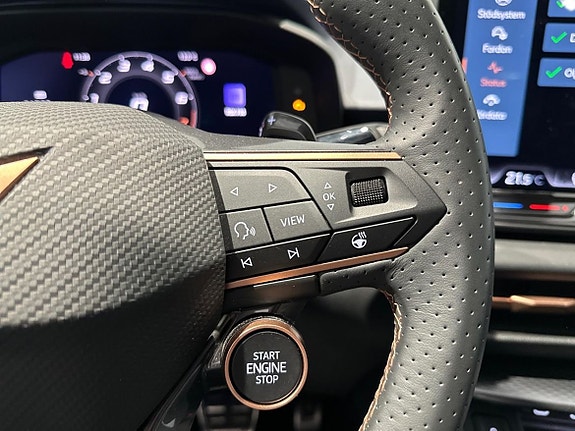 Cupra Terramar 12 of 18