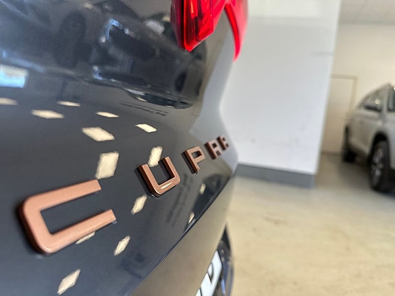 Cupra Terramar 15 of 18