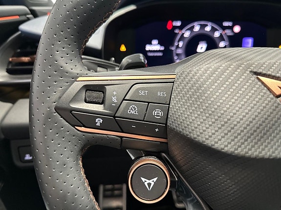 Cupra Terramar 13 of 18