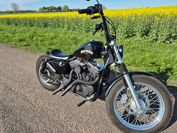 Harley-Davidson Sportster 1200 4 of 5