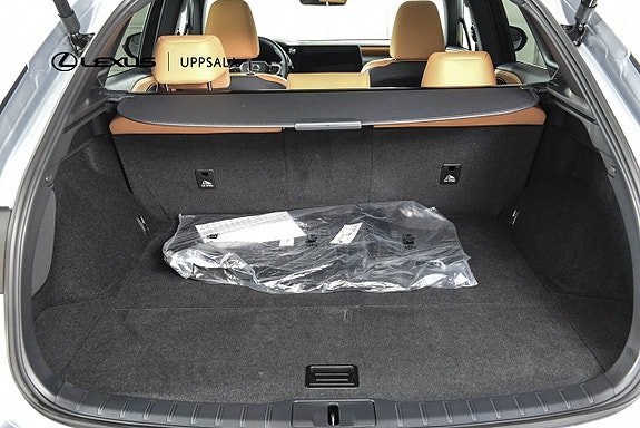 Lexus RX450h+ 11 of 20