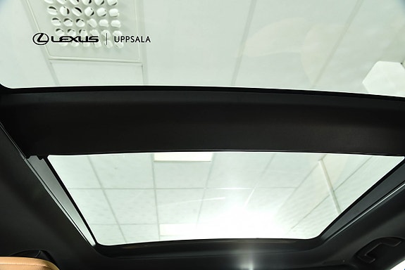 Lexus RX450h+ 9 of 20