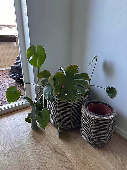 Product image 18 of 19