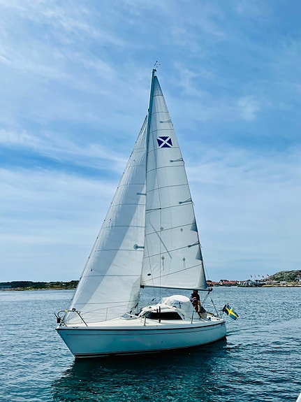 MAXI MAGIC — View photo 1