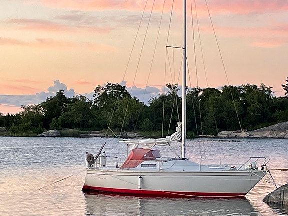 CIRRUS 7.8 (ALBIN) — Vedi foto 1