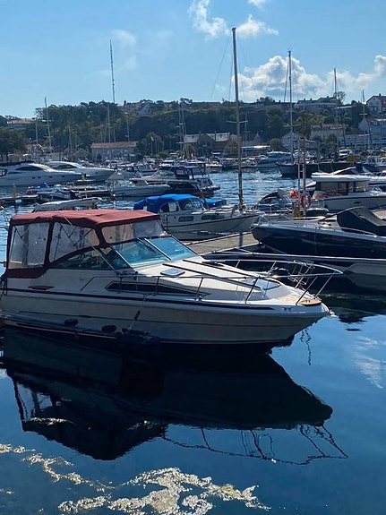 Sea Ray 250 Sundancer -1985 4 of 5