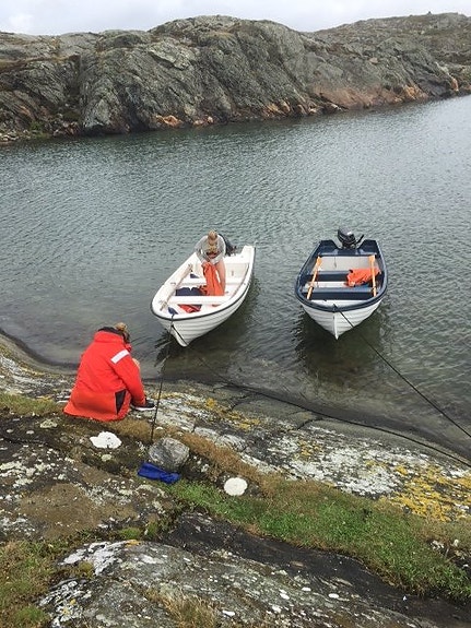 Hyr en båt - Rent a boat - Boot mieten - Louer bateau 10 of 12