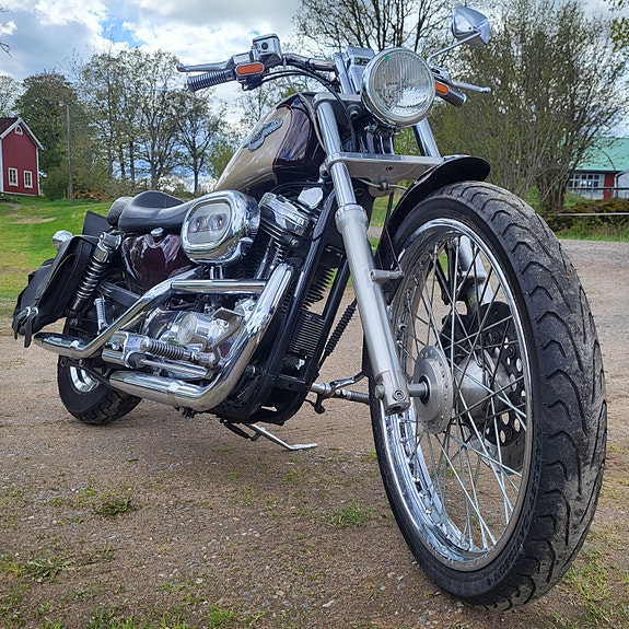 Harley-Davidson Sportster XL1200C 3 of 10