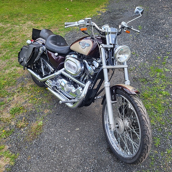 Harley-Davidson Sportster XL1200C 9 of 10