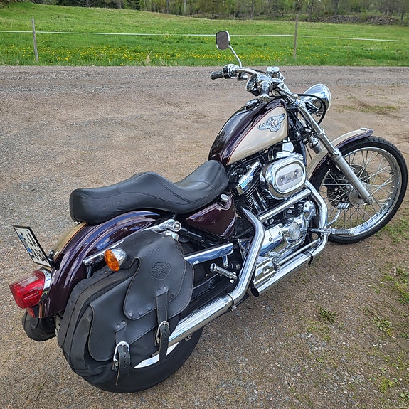 Harley-Davidson Sportster XL1200C 5 of 10
