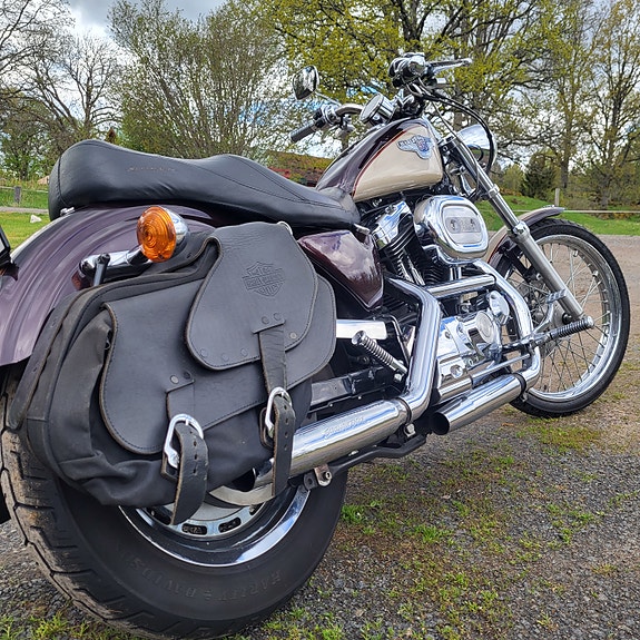 Harley-Davidson Sportster XL1200C 6 of 10