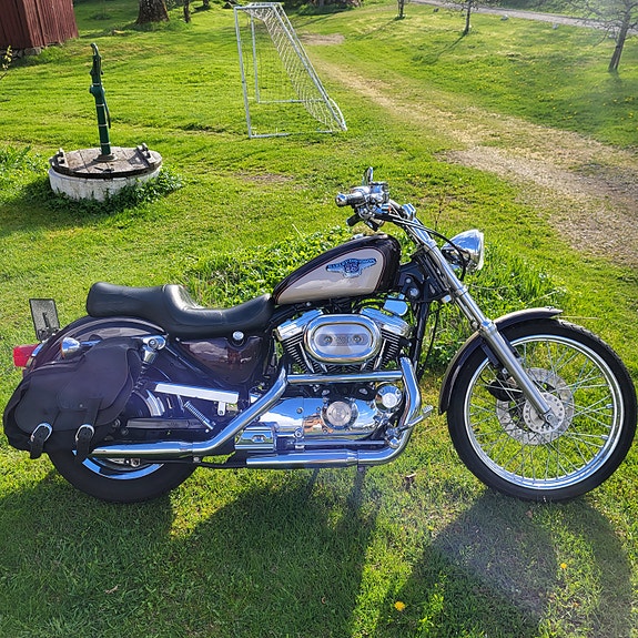 Harley-Davidson Sportster XL1200C 2 of 10