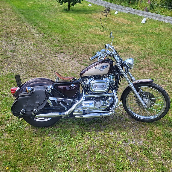 Harley-Davidson Sportster XL1200C 10 of 10