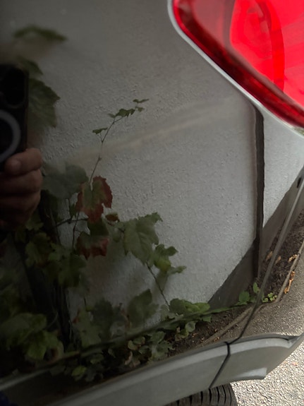 Volvo XC40 10 of 10