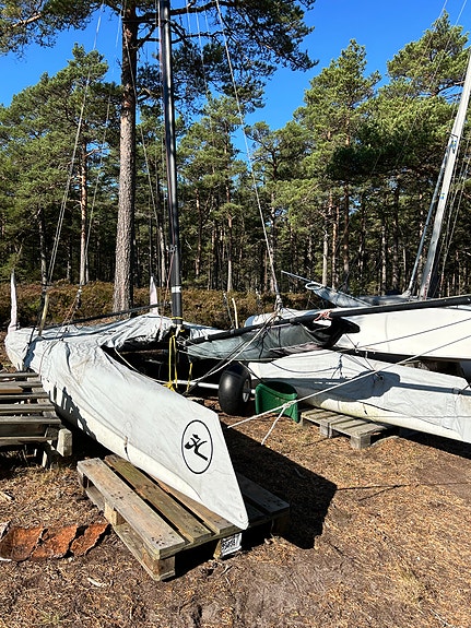 Hobiecat Wildcat F18 — View photo 1