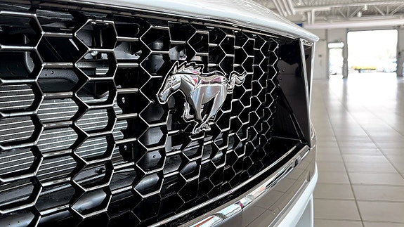 Ford Mustang 10 of 11
