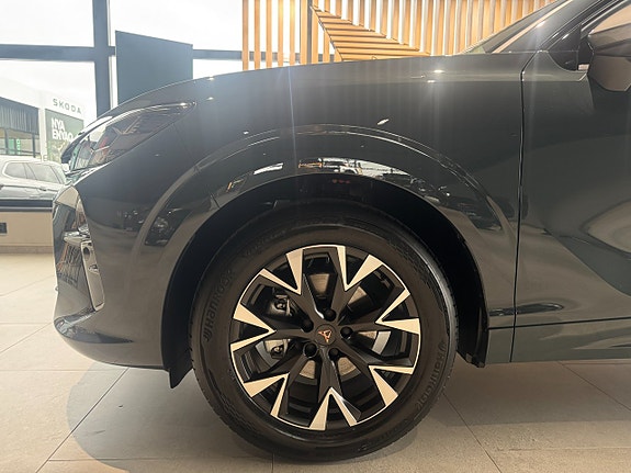 Cupra Terramar 18 of 18