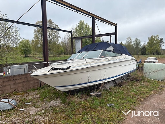 Motorbåt - Sea Ray, 220